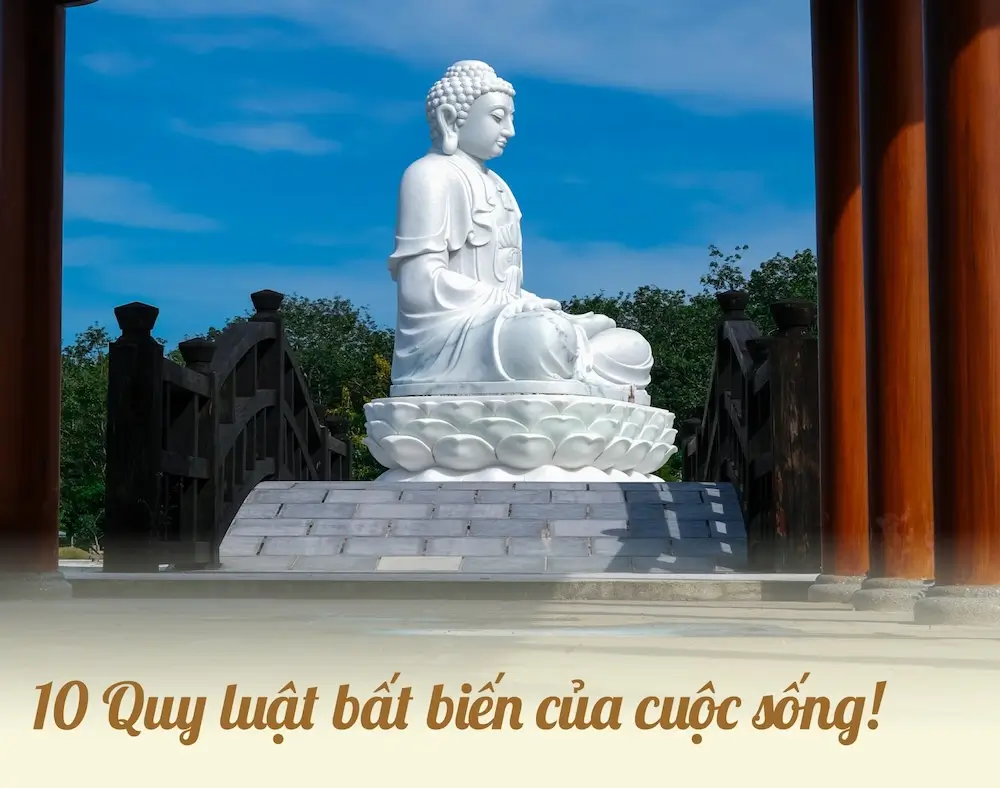 10 quy luật bất biến cuộc sống