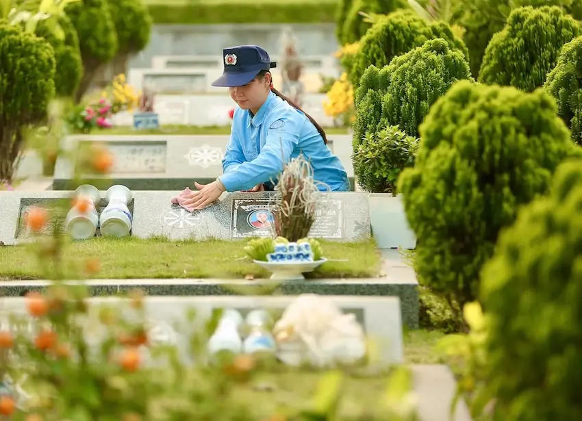 trồng cây Tết thanh minh