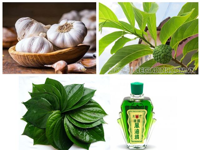 Trị nhiễm lạnh đám ma